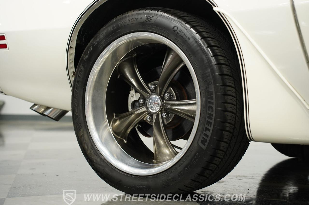 1981 Pontiac Firebird Trans Am SE