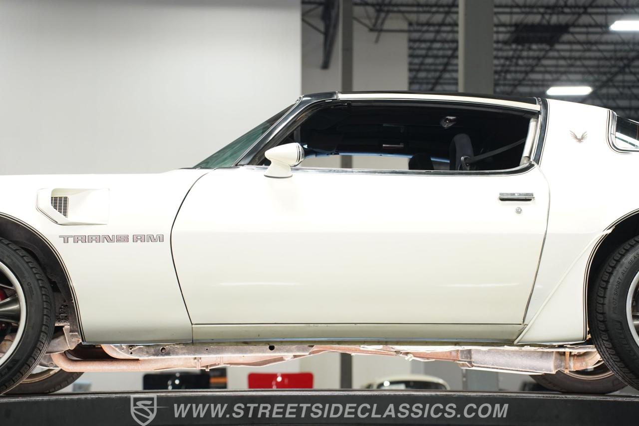 1981 Pontiac Firebird Trans Am SE