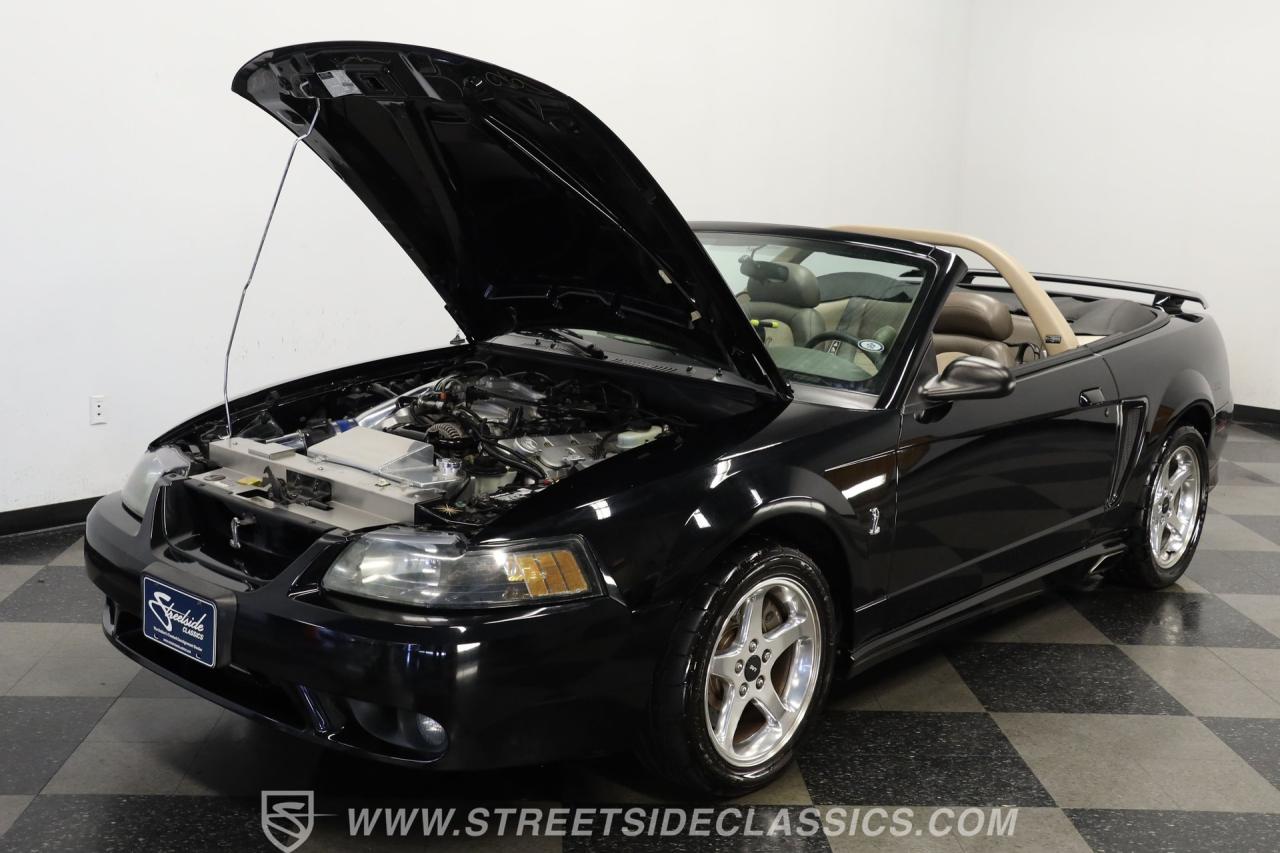 2001 Ford Mustang SVT Cobra Convertible