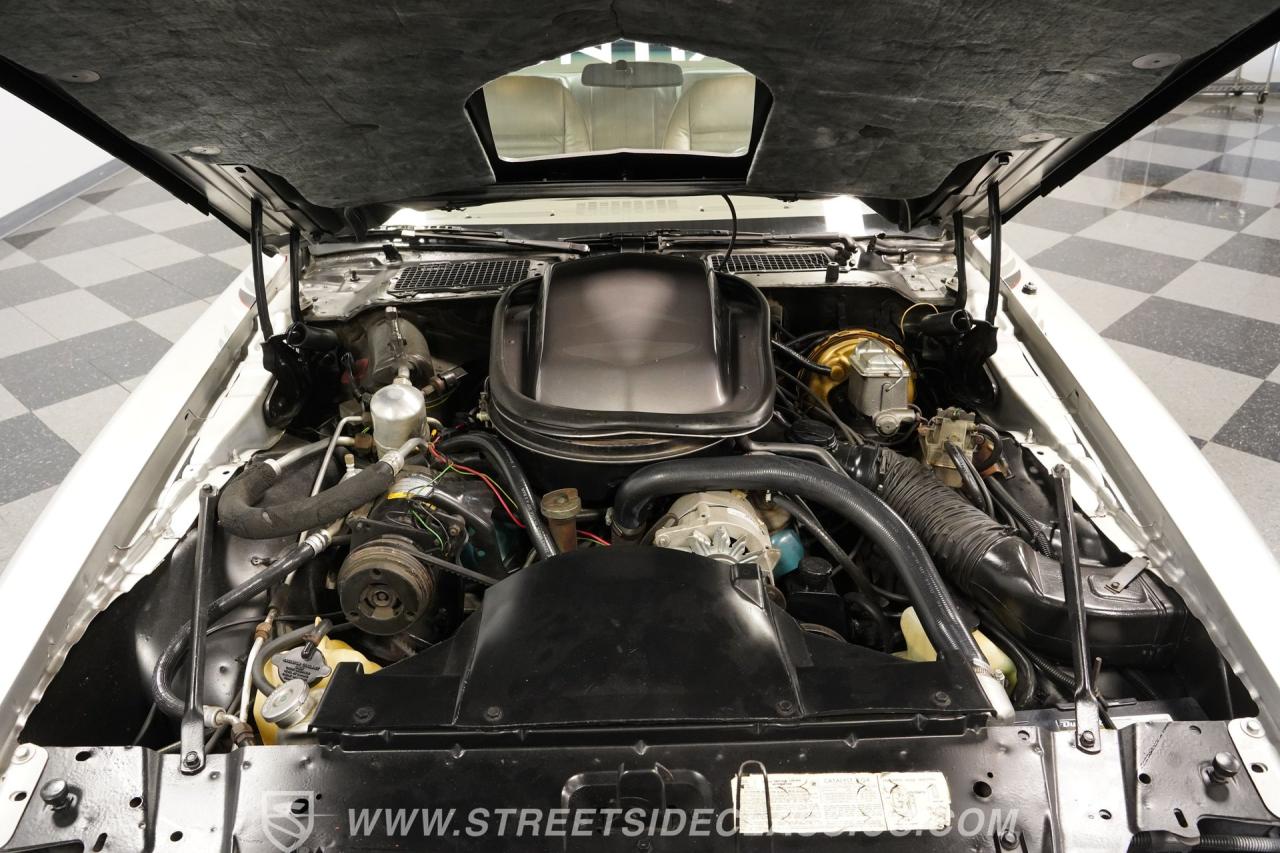 1979 Pontiac Firebird Trans Am 10th Anniversary Pace Car