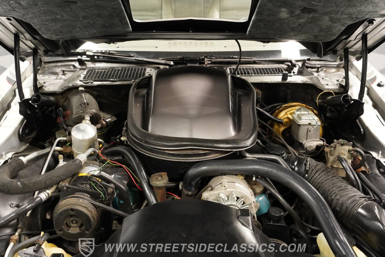 1979 Pontiac Firebird Trans Am 10th Anniversary Pace Car