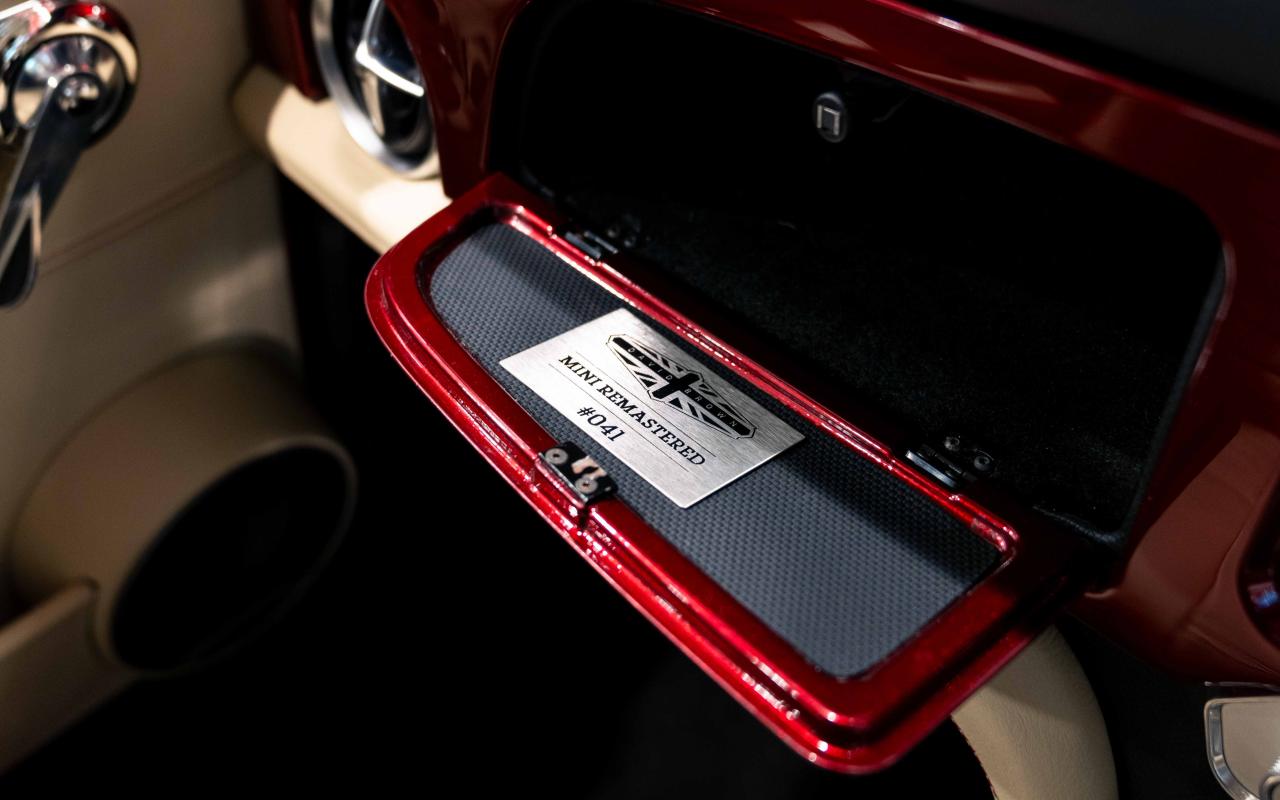 2021 David Brown Mini