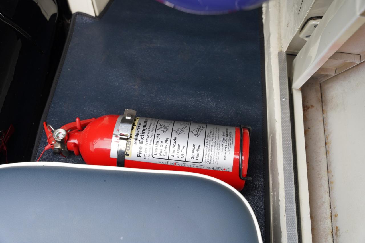 1953 Austin - Healey 100/4 &ldquo;SCCA-racer &rsquo;53-&rsquo;64&rdquo;