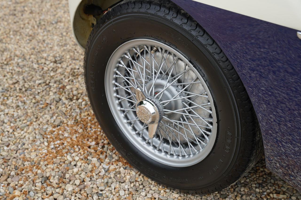 1953 Austin - Healey 100/4 &ldquo;SCCA-racer &rsquo;53-&rsquo;64&rdquo;