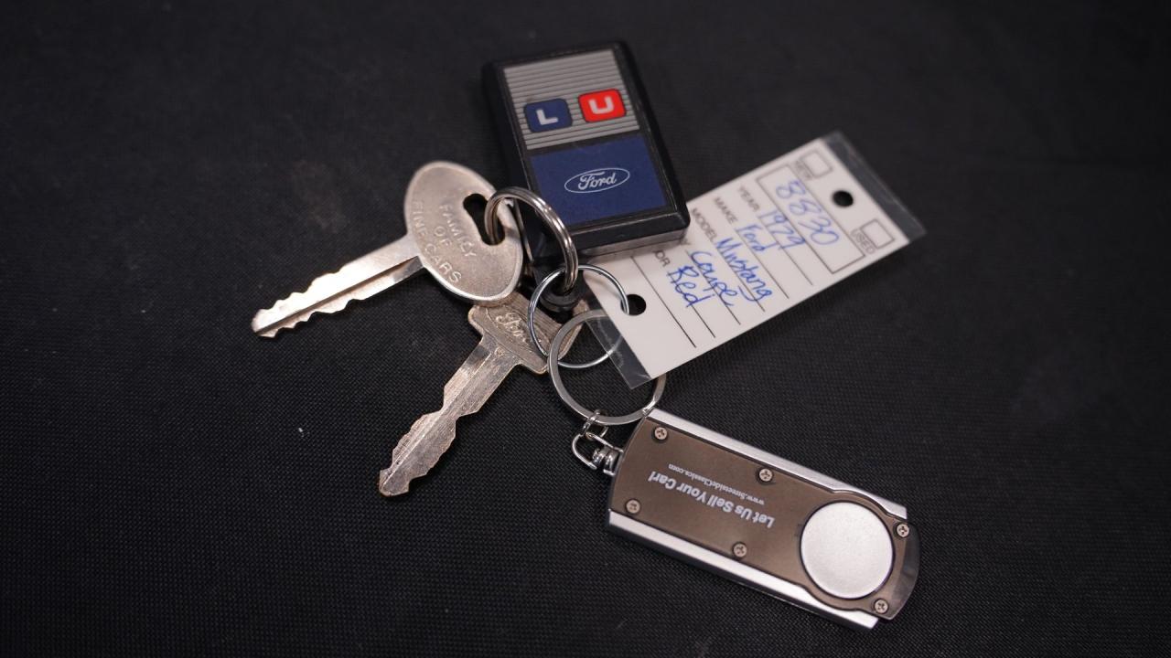 1979 Ford Mustang 5.0 Foxbody