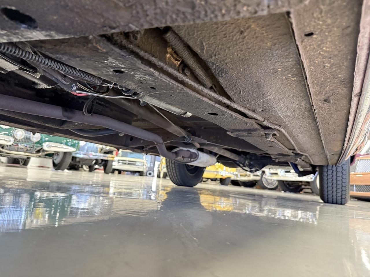 1951 Studebaker Champion Regal Convertible