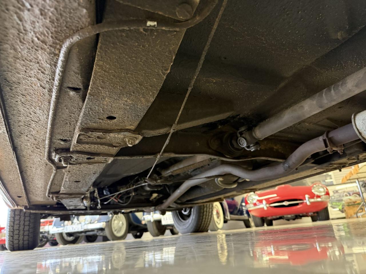 1951 Studebaker Champion Regal Convertible