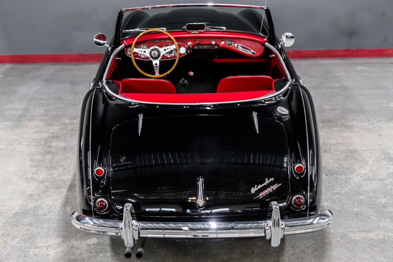 1961 Austin - Healey 3000