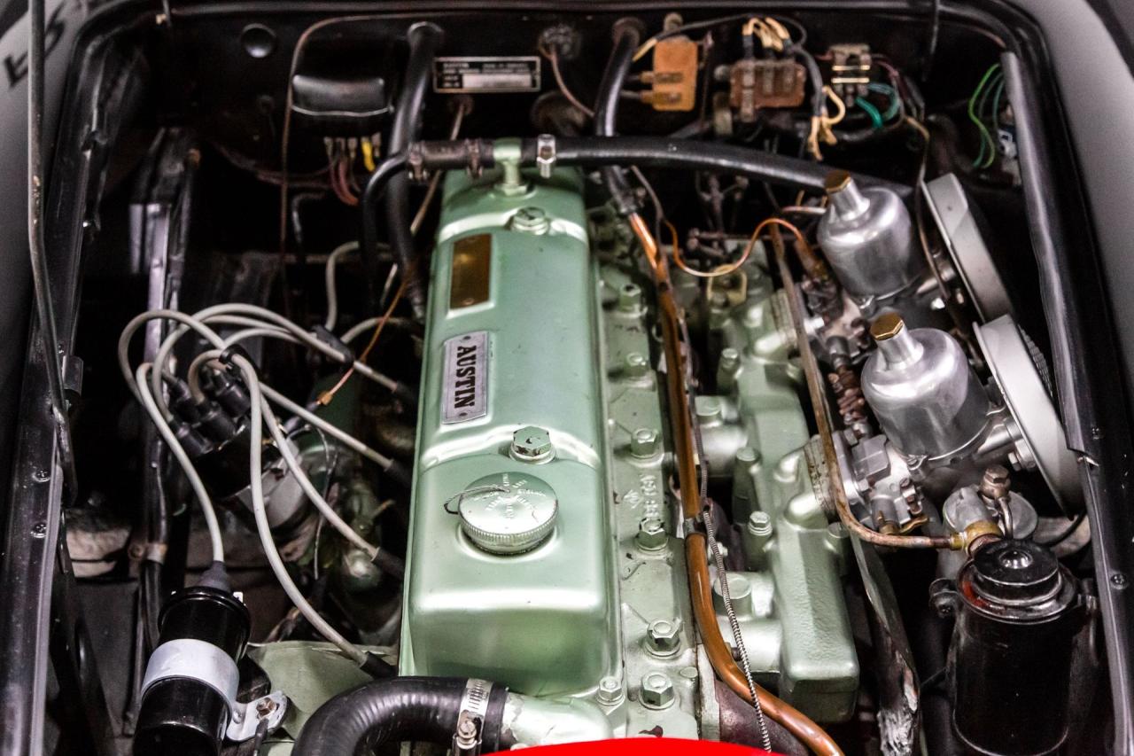 1961 Austin - Healey 3000