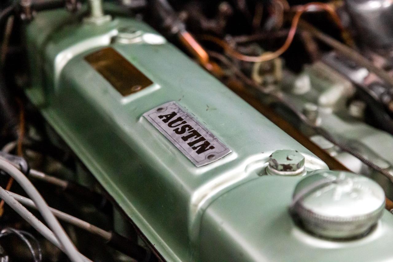 1961 Austin - Healey 3000
