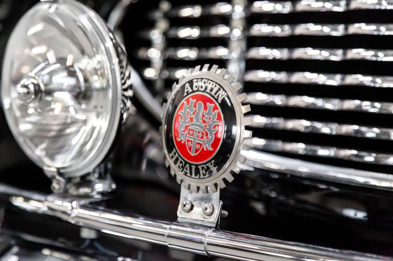 1961 Austin - Healey 3000