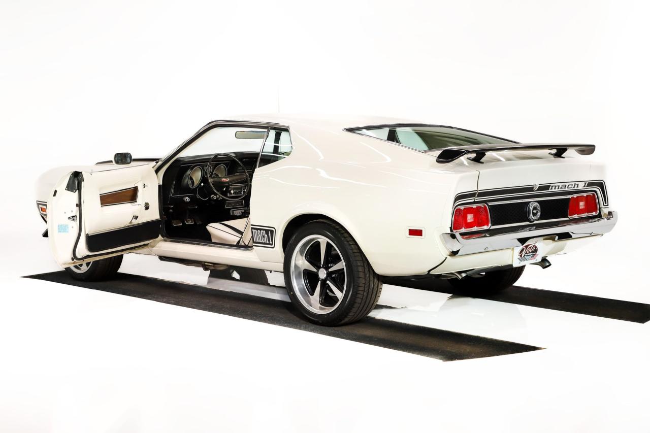 1973 Ford Mustang Mach 1 Pro Touring