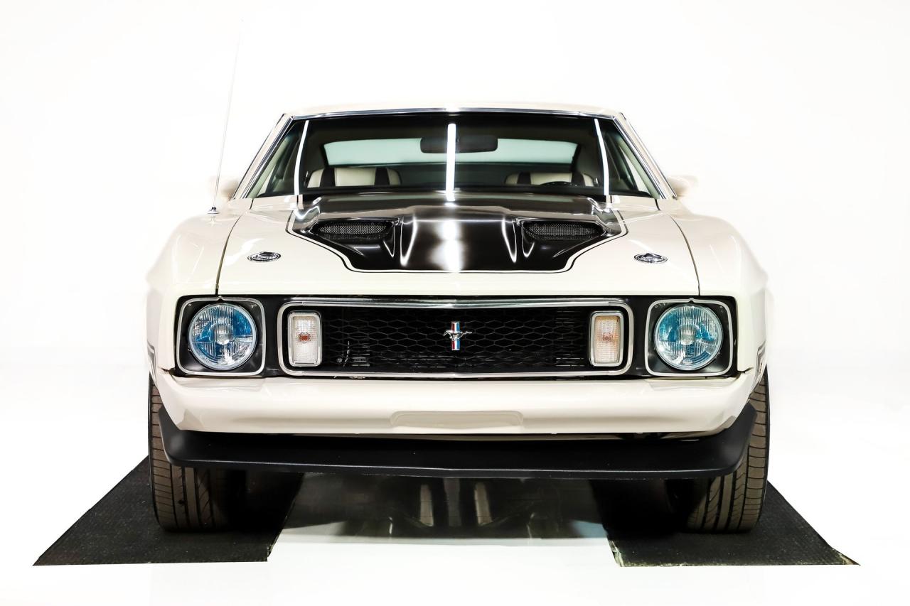 1973 Ford Mustang Mach 1 Pro Touring