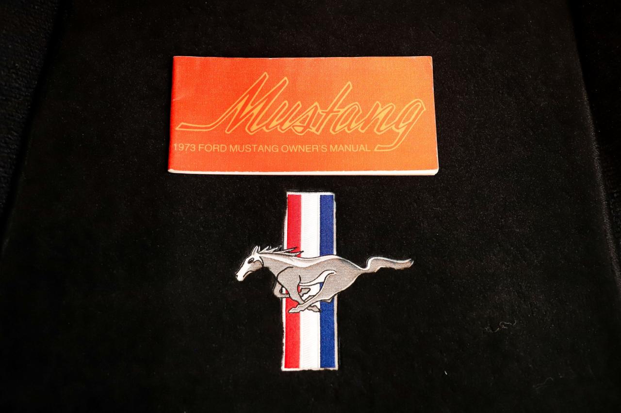 1973 Ford Mustang Mach 1 Pro Touring