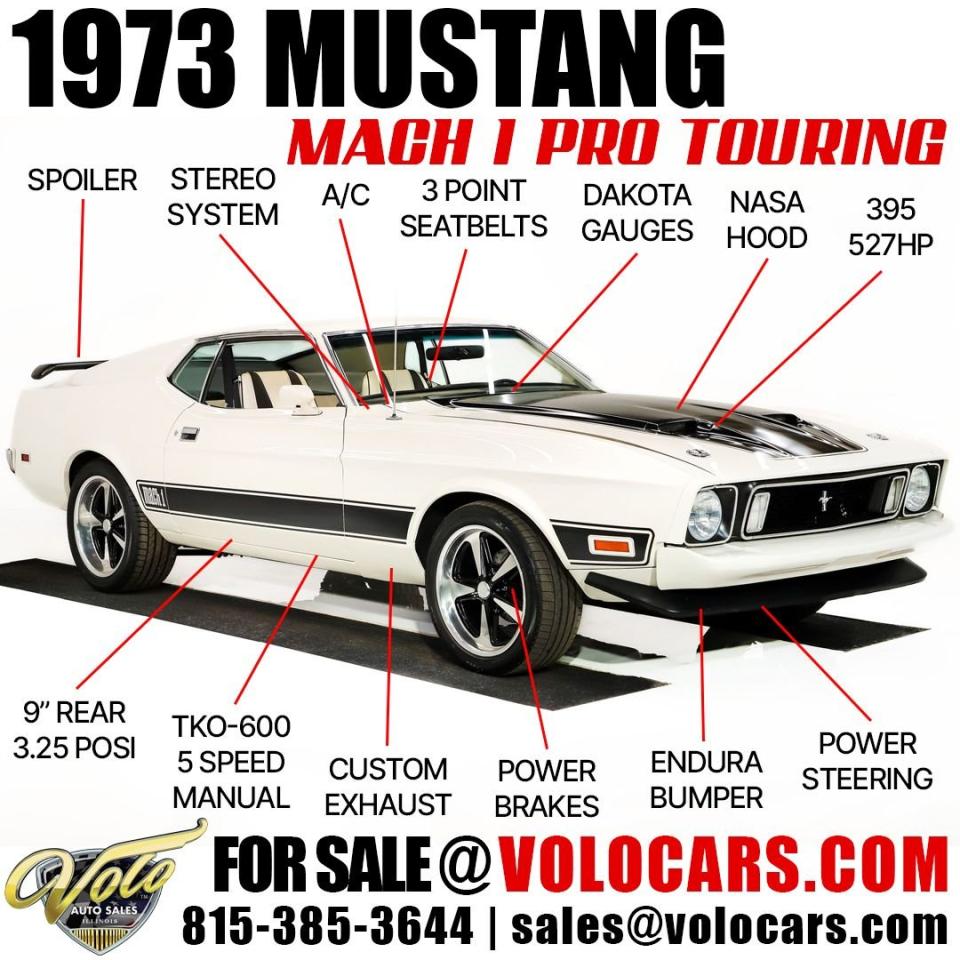 1973 Ford Mustang Mach 1 Pro Touring