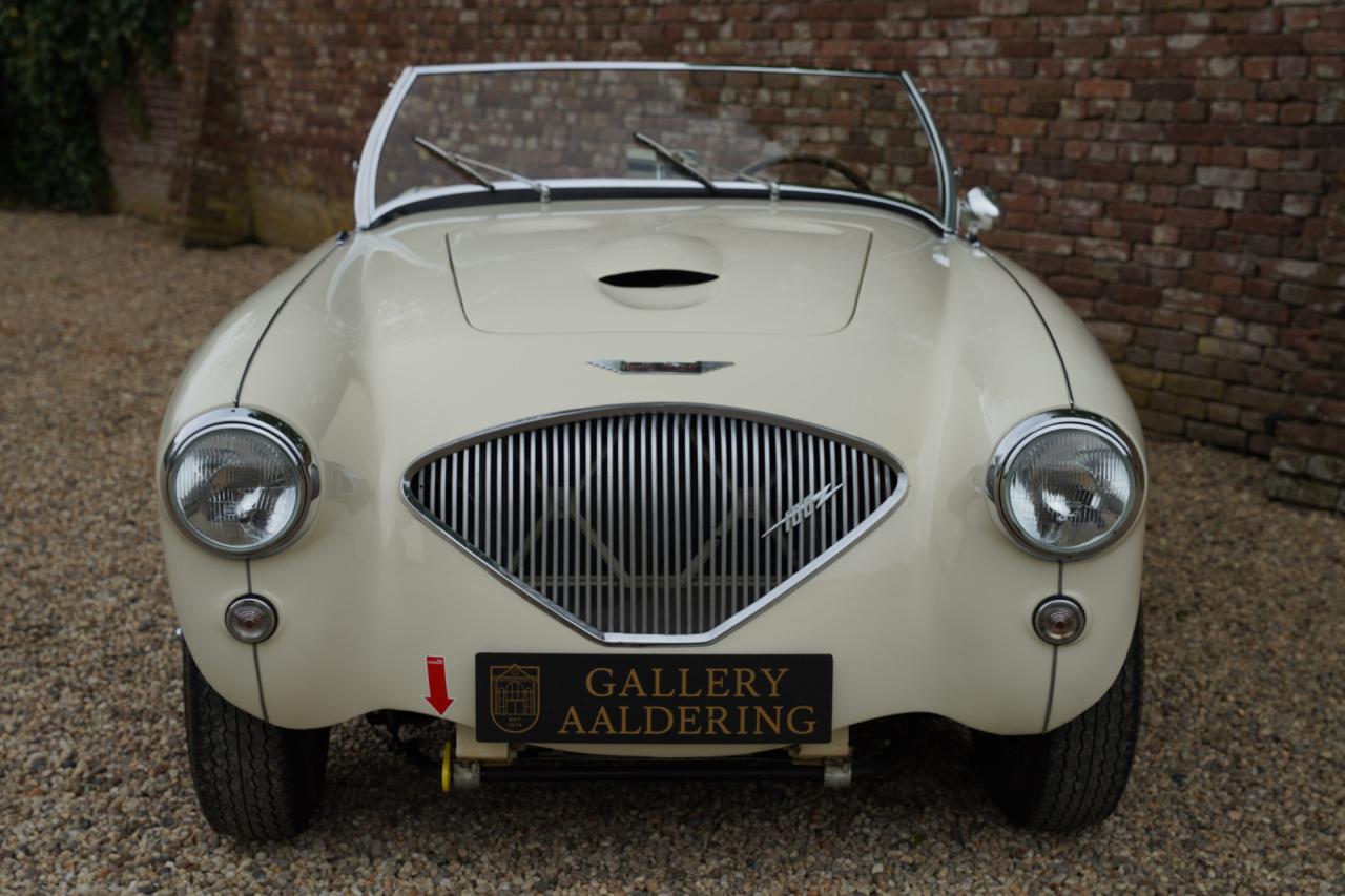 1953 Austin - Healey 100/4 &ldquo;SCCA-racer &rsquo;53-&rsquo;64&rdquo;