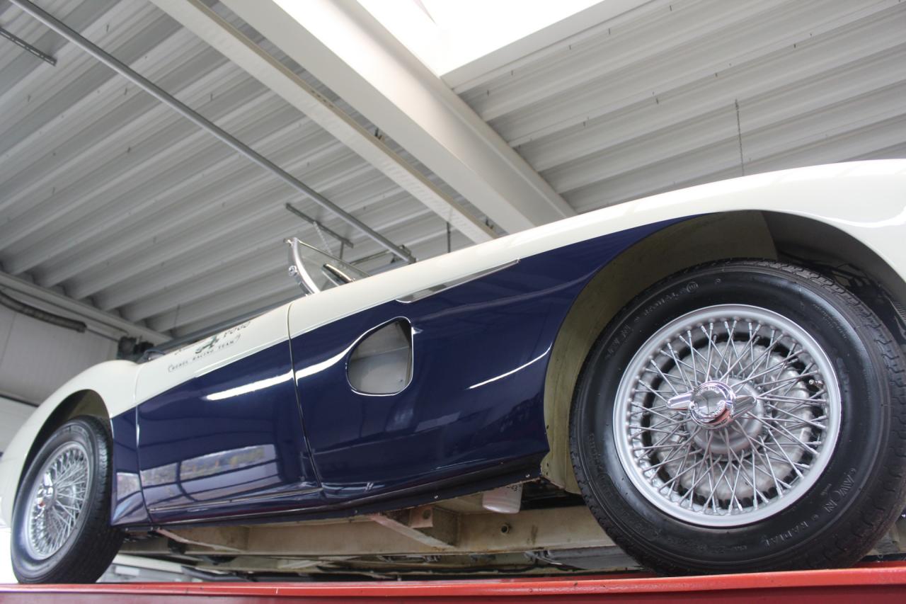 1953 Austin - Healey 100/4 &ldquo;SCCA-racer &rsquo;53-&rsquo;64&rdquo;