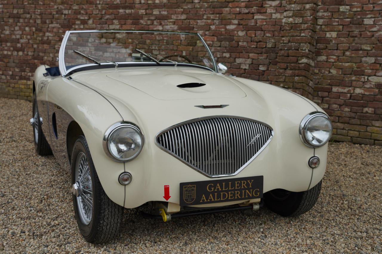 1953 Austin - Healey 100/4 &ldquo;SCCA-racer &rsquo;53-&rsquo;64&rdquo;