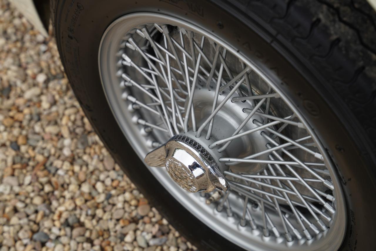 1953 Austin - Healey 100/4 &ldquo;SCCA-racer &rsquo;53-&rsquo;64&rdquo;