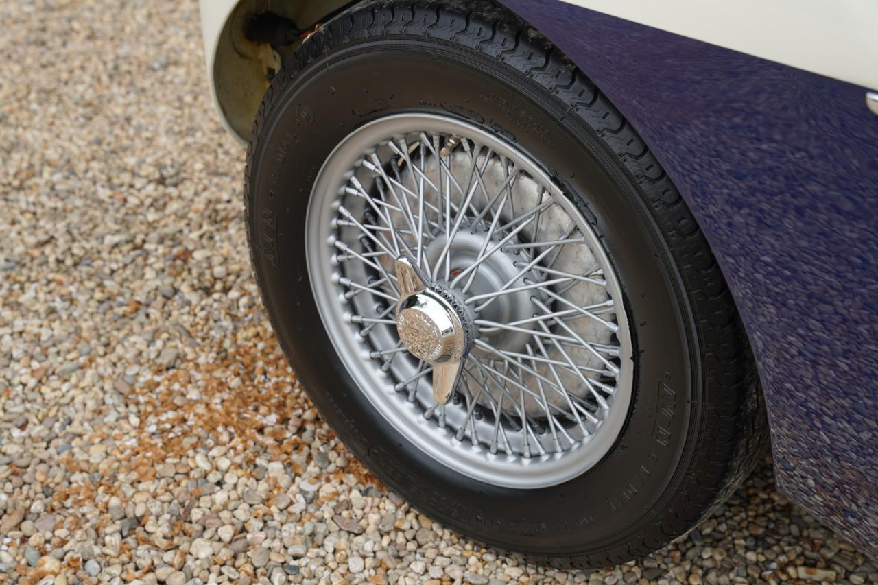 1953 Austin - Healey 100/4 &ldquo;SCCA-racer &rsquo;53-&rsquo;64&rdquo;