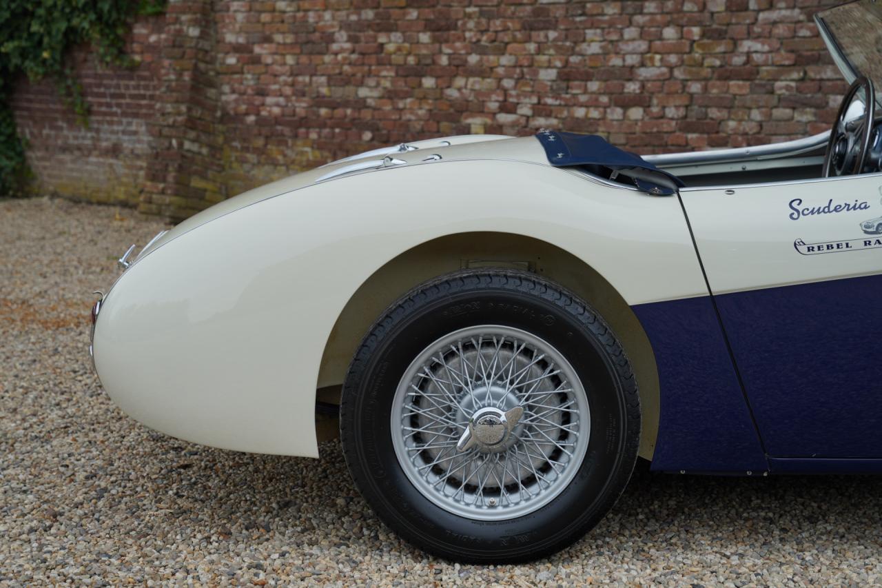 1953 Austin - Healey 100/4 &ldquo;SCCA-racer &rsquo;53-&rsquo;64&rdquo;