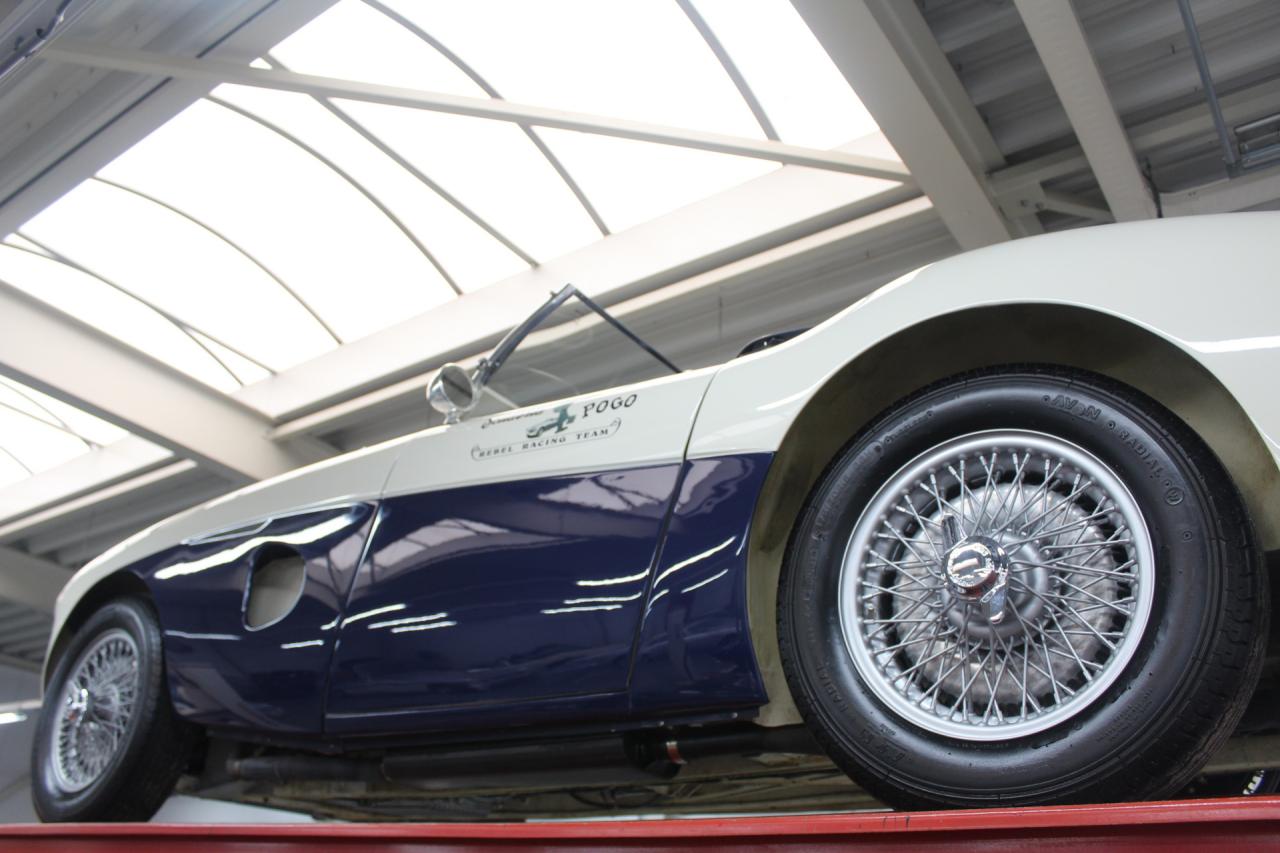 1953 Austin - Healey 100/4 &ldquo;SCCA-racer &rsquo;53-&rsquo;64&rdquo;