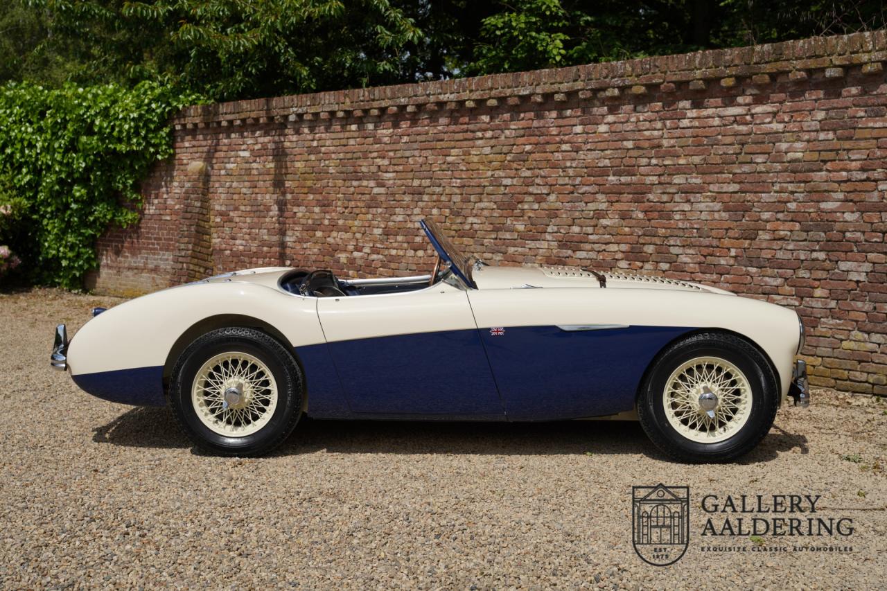 1954 Austin - Healey 100M Roadster &ldquo;100M Le Mans Registry&rdquo;