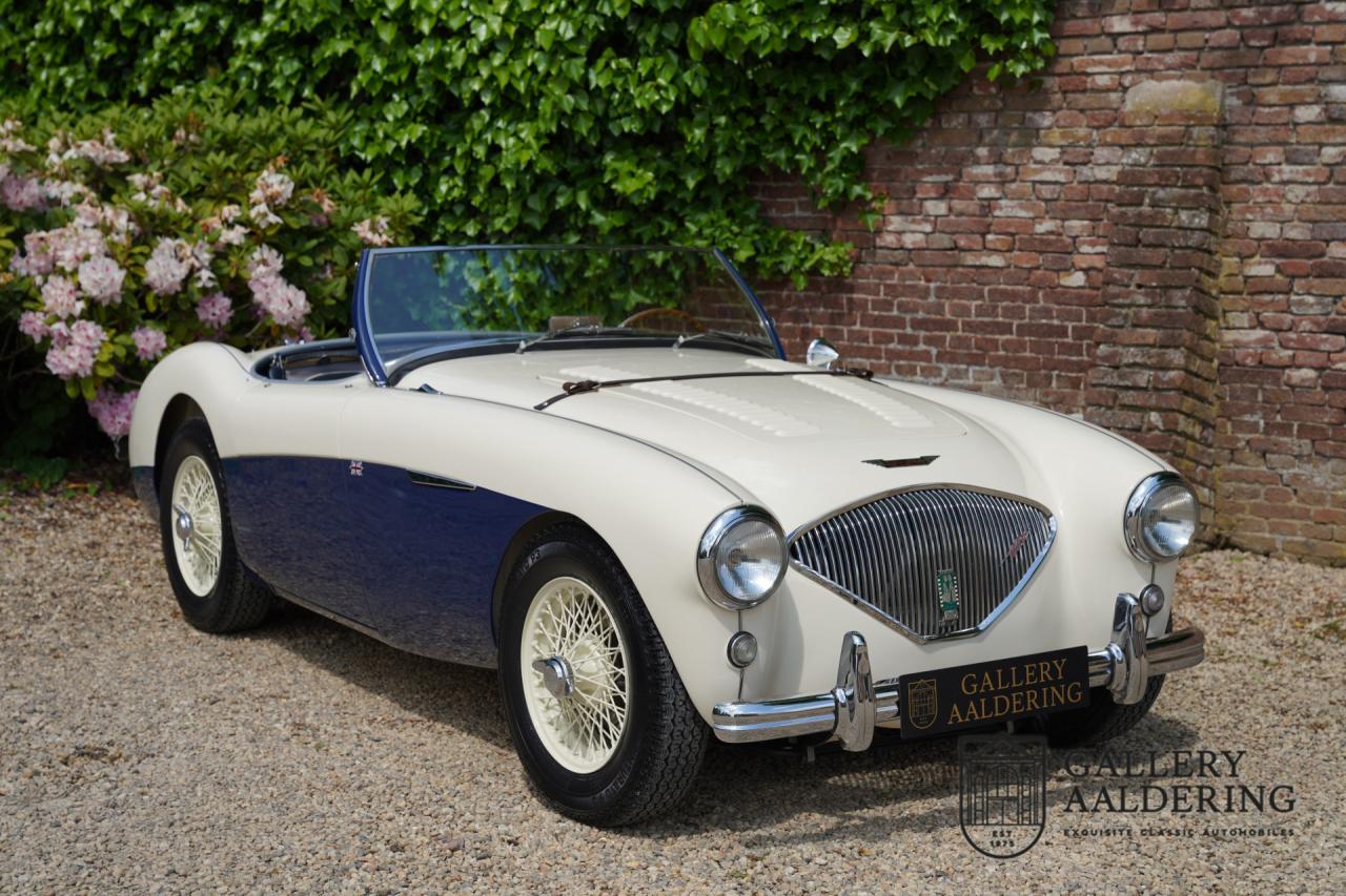 1954 Austin - Healey 100M Roadster &ldquo;100M Le Mans Registry&rdquo;