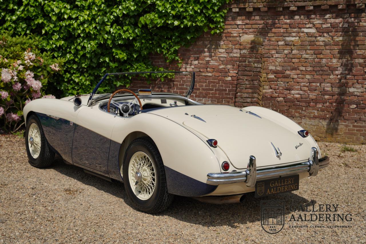 1954 Austin - Healey 100M Roadster &ldquo;100M Le Mans Registry&rdquo;
