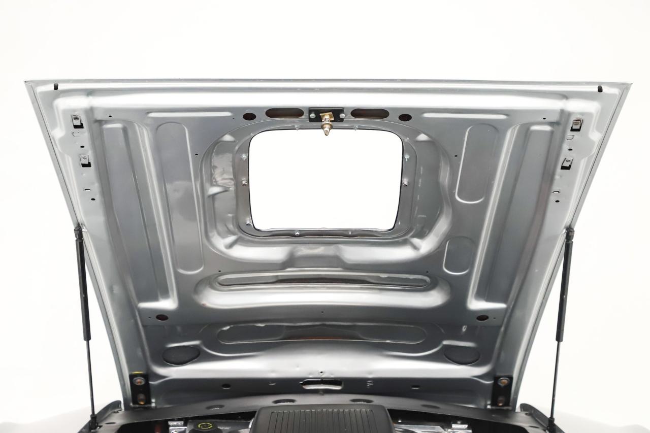 1969 Ford Mustang Pro Touring