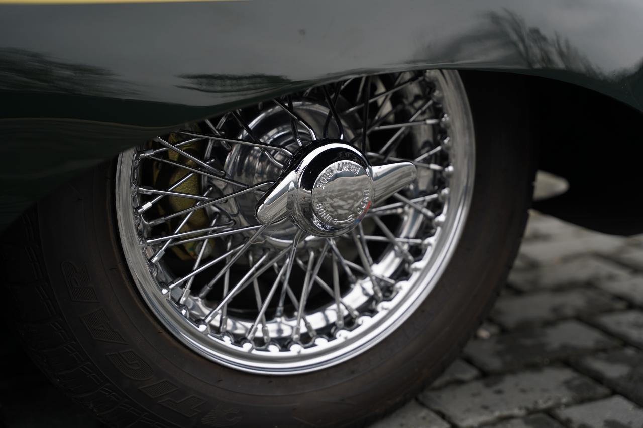 2020 Westfield Eleven