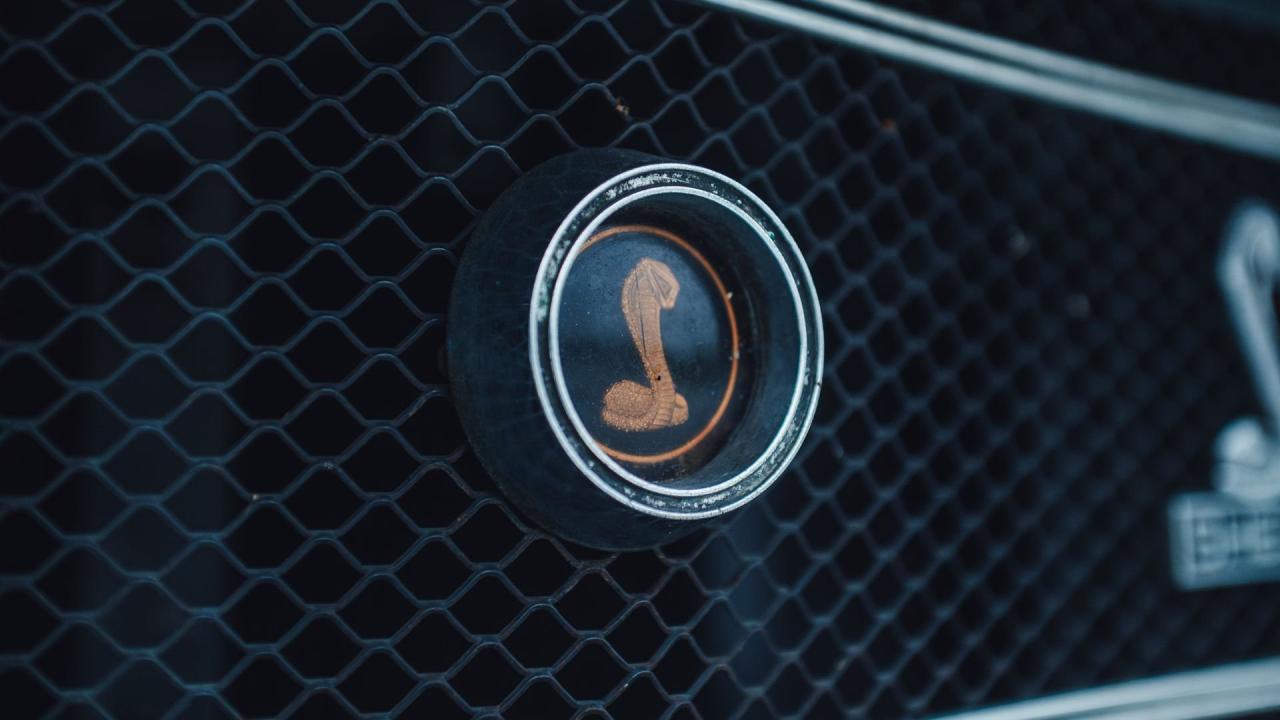 1969 Shelby GT350 Convertible