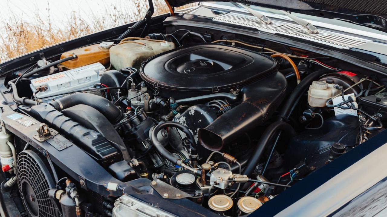 1976 Mercedes - Benz 450 SEL 6.9 ex-Claude Fran&ccedil;ois