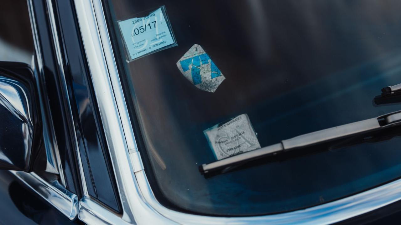 1976 Mercedes - Benz 450 SEL 6.9 ex-Claude Fran&ccedil;ois