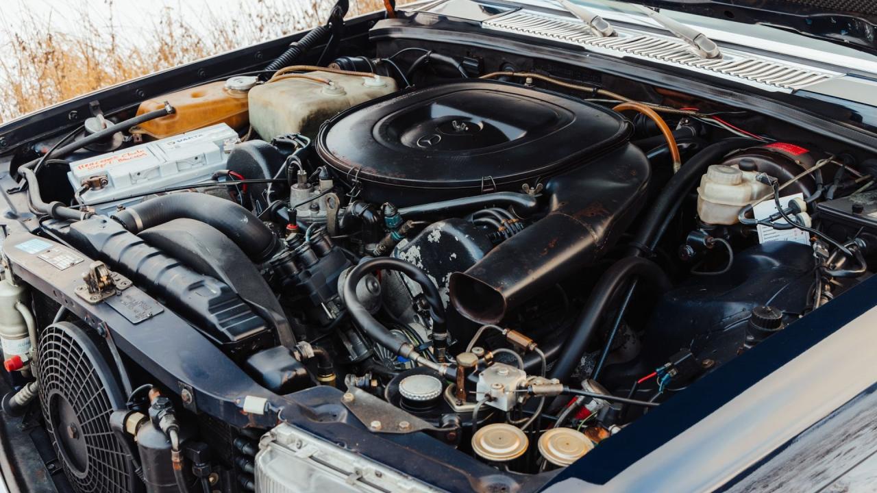 1976 Mercedes - Benz 450 SEL 6.9 ex-Claude Fran&ccedil;ois