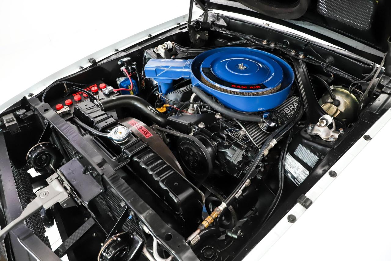 1969 Ford Shelby GT350