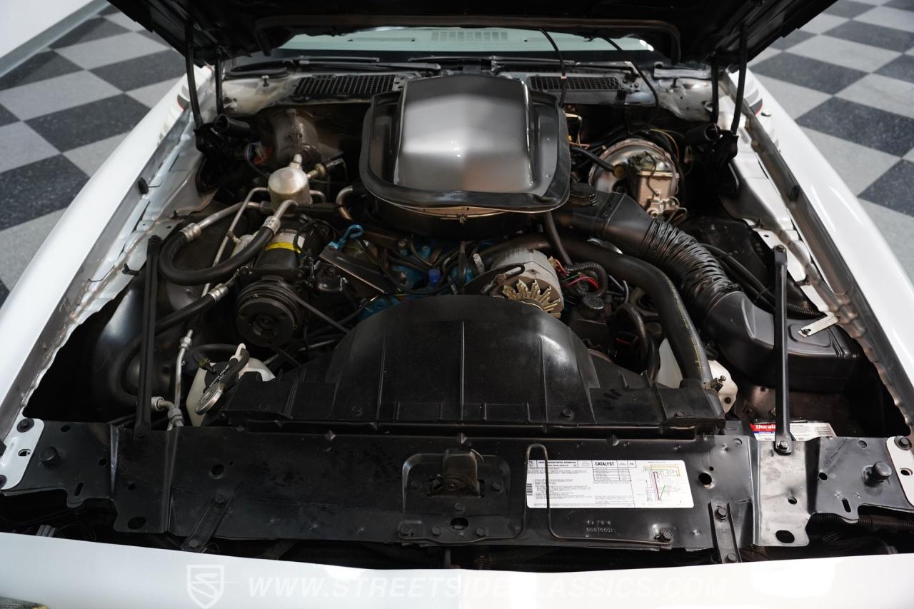 1979 Pontiac Firebird Trans Am 10th Anniversary Edition