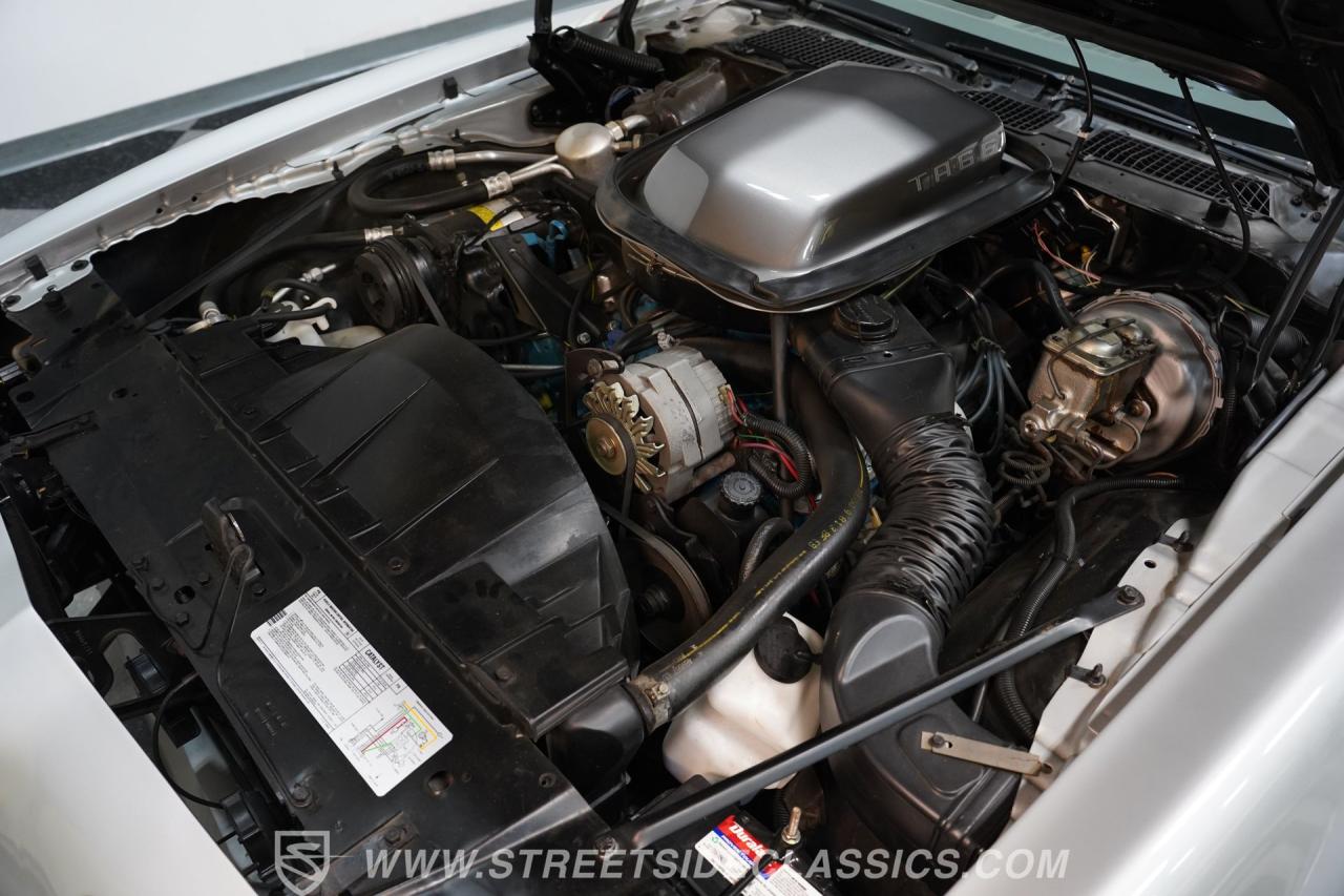 1979 Pontiac Firebird Trans Am 10th Anniversary Edition