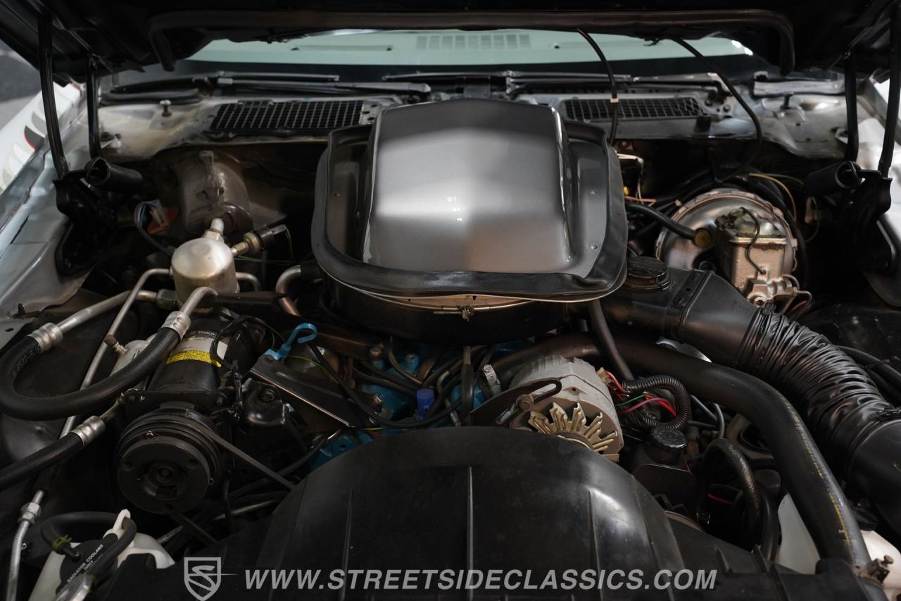 1979 Pontiac Firebird Trans Am 10th Anniversary Edition