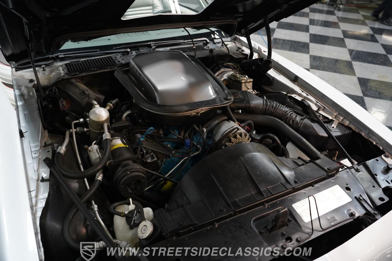 1979 Pontiac Firebird Trans Am 10th Anniversary Edition