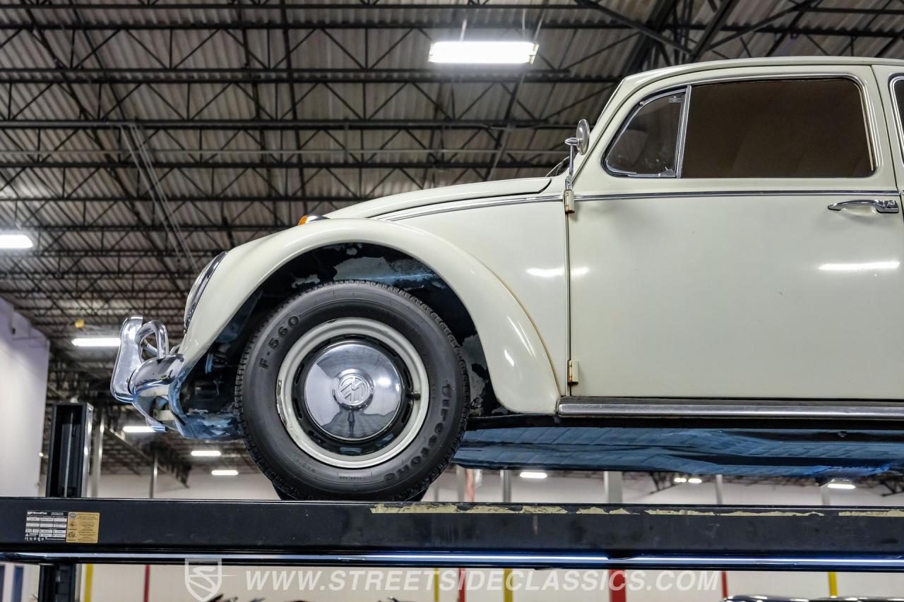 1966 Volkswagen Beetle