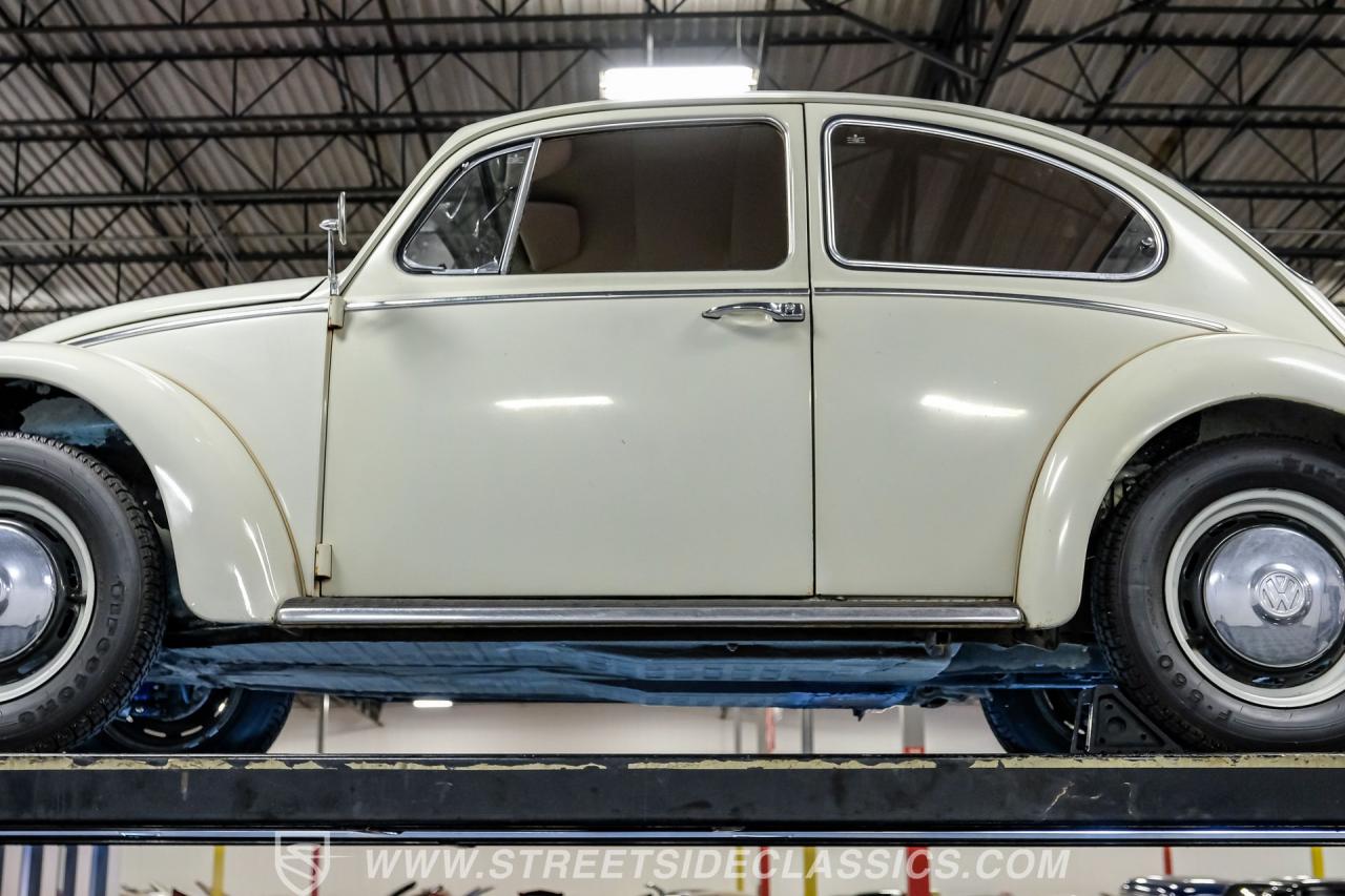 1966 Volkswagen Beetle