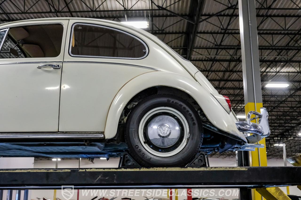 1966 Volkswagen Beetle