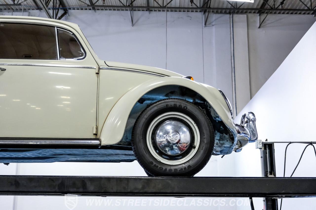 1966 Volkswagen Beetle