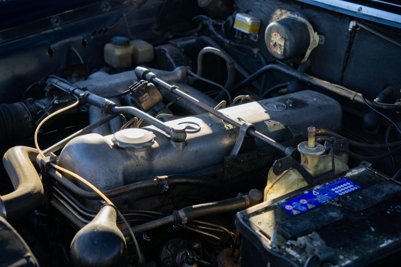 1966 Mercedes - Benz 220 SE Fintail