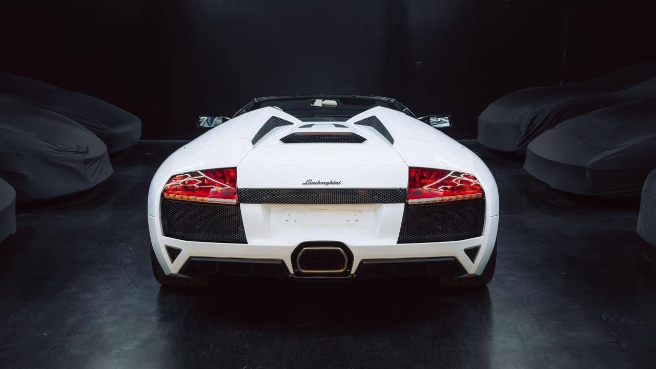 2010 Lamborghini Murci&eacute;lago LP640-4 Roadster