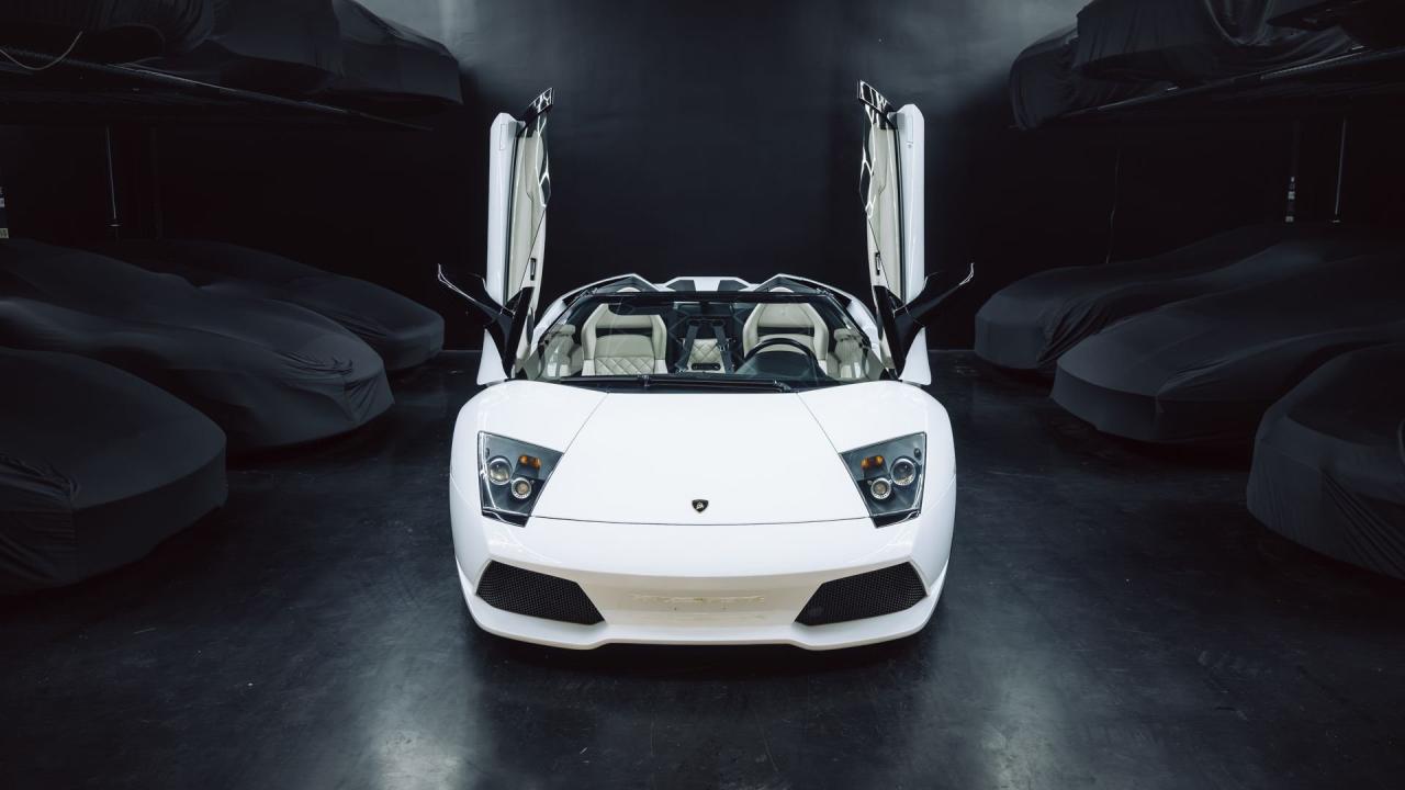 2010 Lamborghini Murci&eacute;lago LP640-4 Roadster