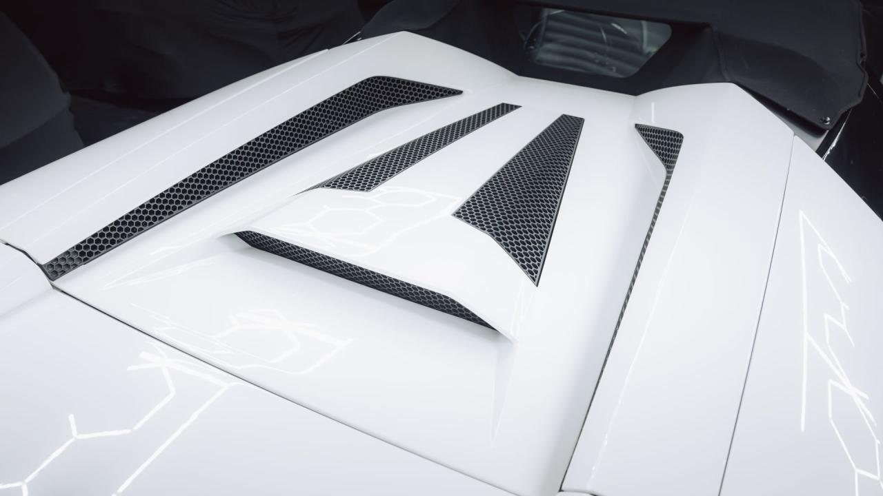 2010 Lamborghini Murci&eacute;lago LP640-4 Roadster