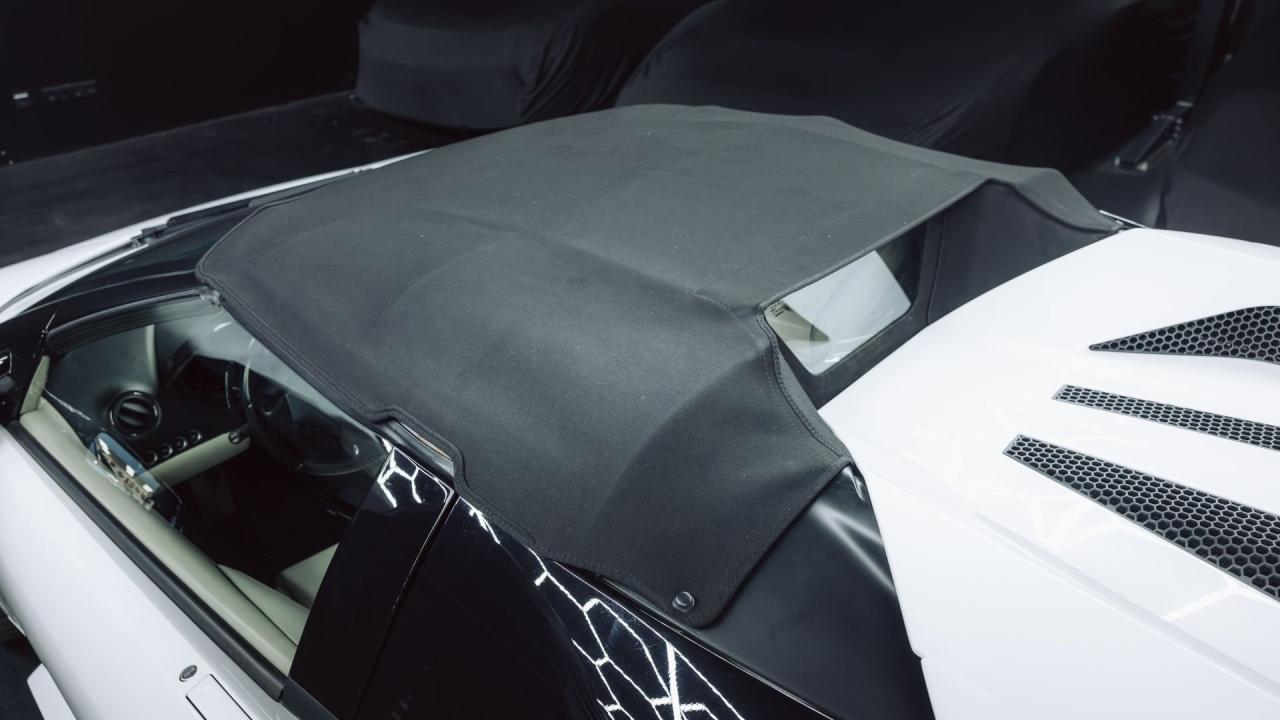 2010 Lamborghini Murci&eacute;lago LP640-4 Roadster