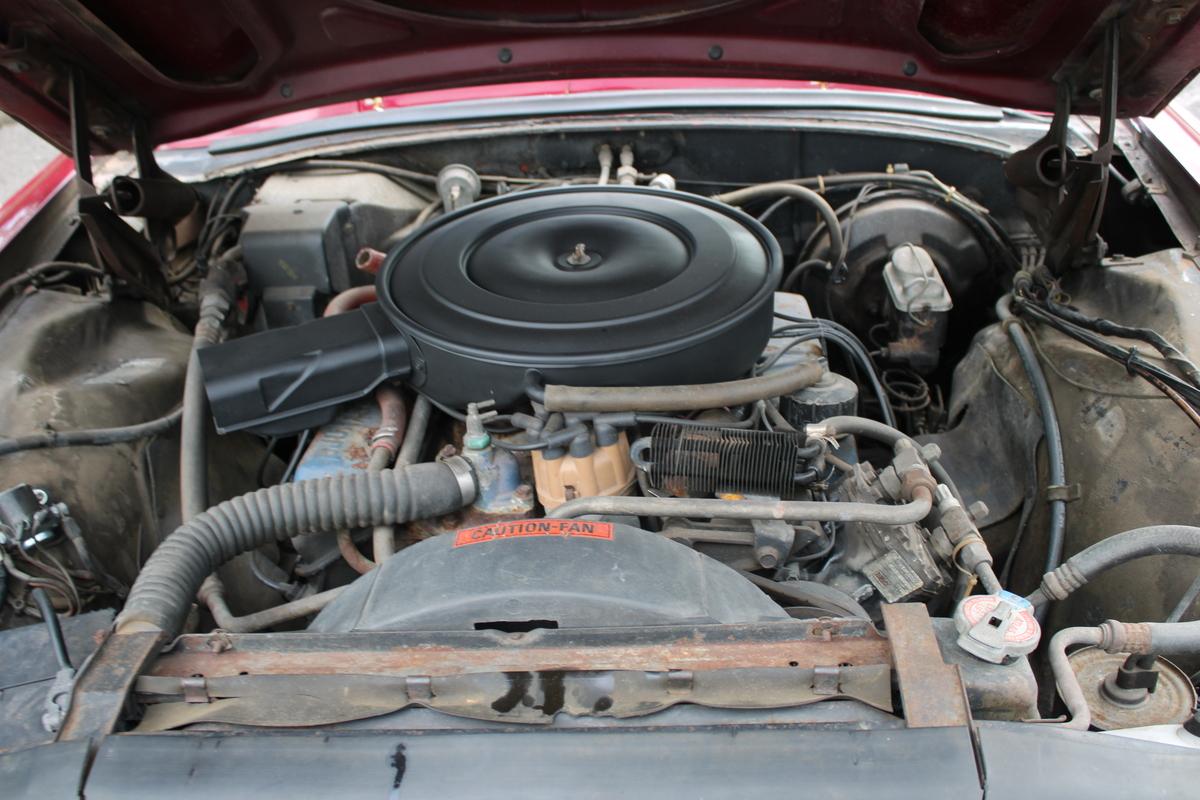 1969 Ford THUNDERBIRD 429